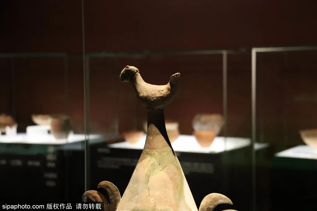 打卡中国考古博物馆,可以沉浸式体验的历史文化之旅