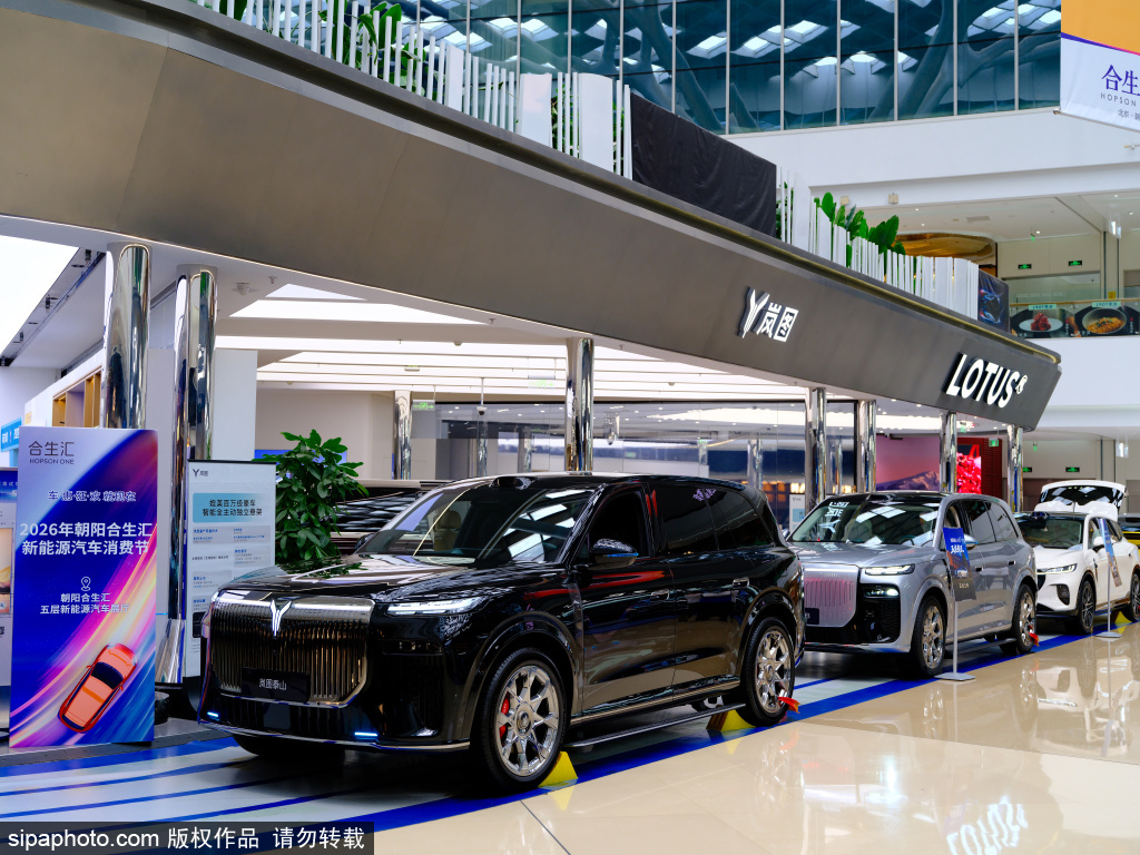 朝阳合生汇新能源汽车市集，解锁汽车消费新场景