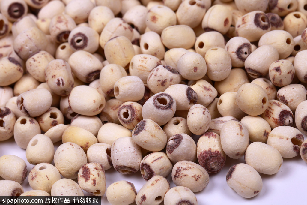 食酸润肺、早睡缓秋乏，出伏请收好这份健康指南